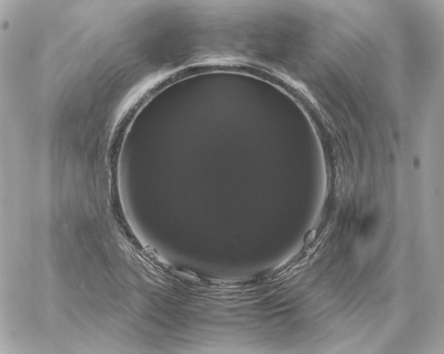 X0000060261319200511112011