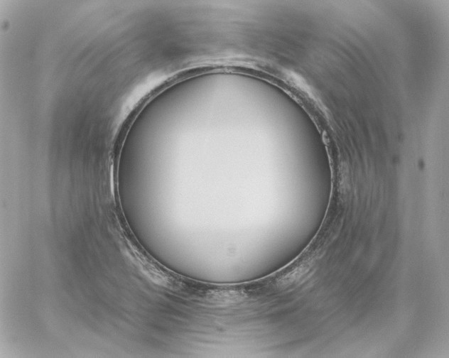 X0000060261320200511112011