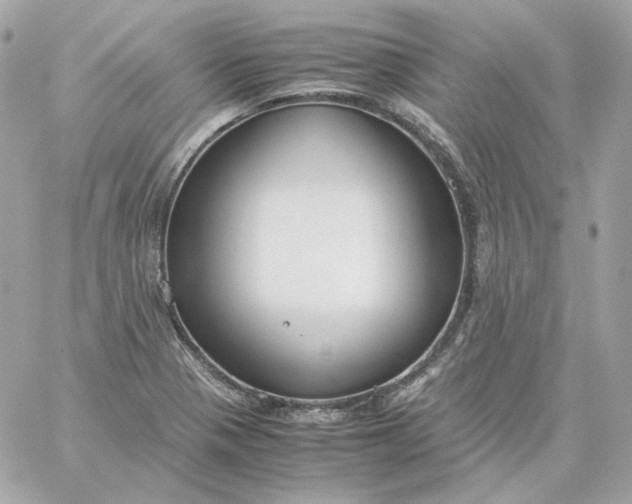 X0000060261321200511112011