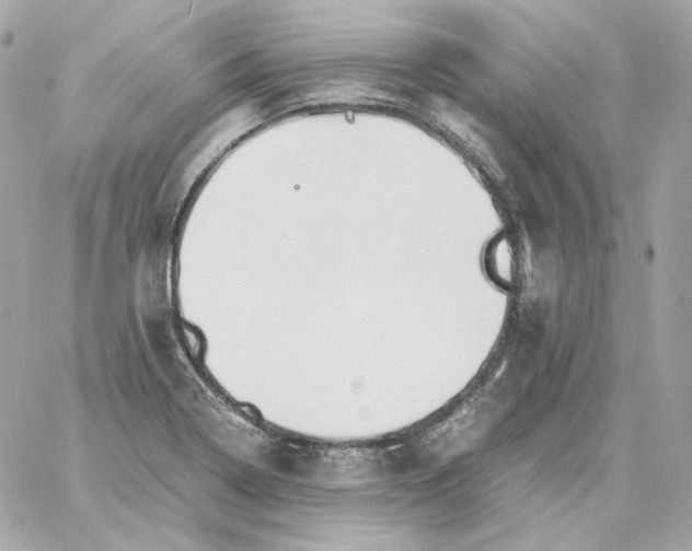 X0000060261322200511112011