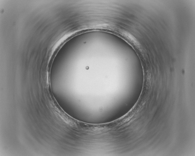 X0000060261324200511112011