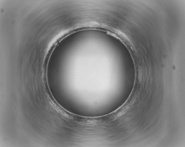 X0000060261326200511112011