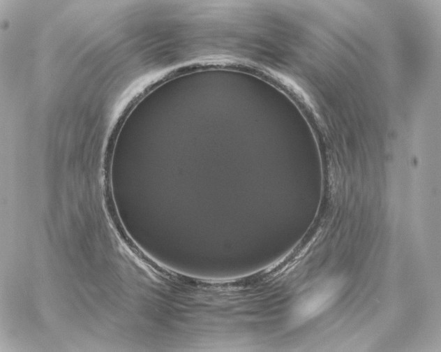 X0000060261327200511112011