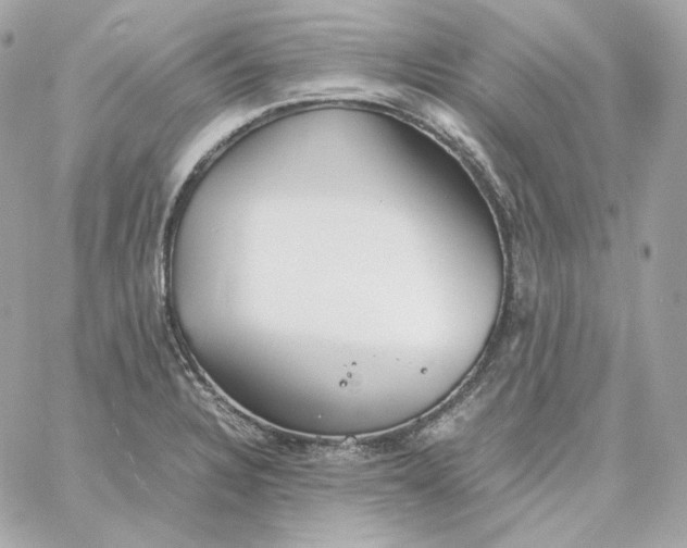 X0000060261328200511112011