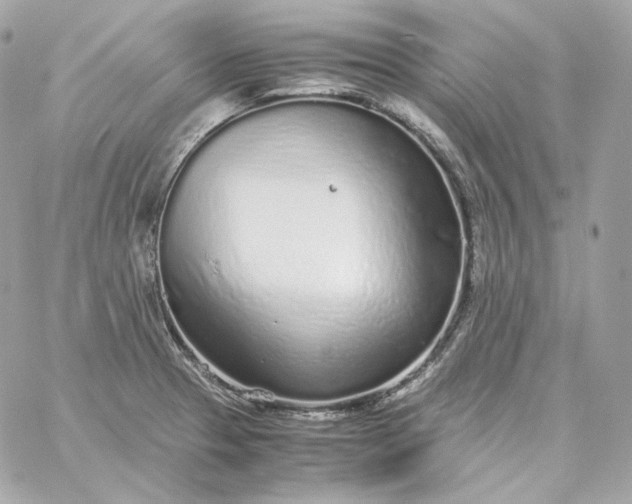 X0000060261329200511112011