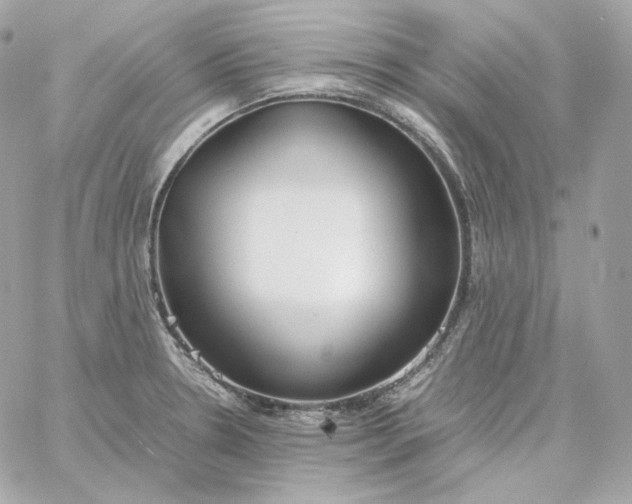 X0000060261330200511112011