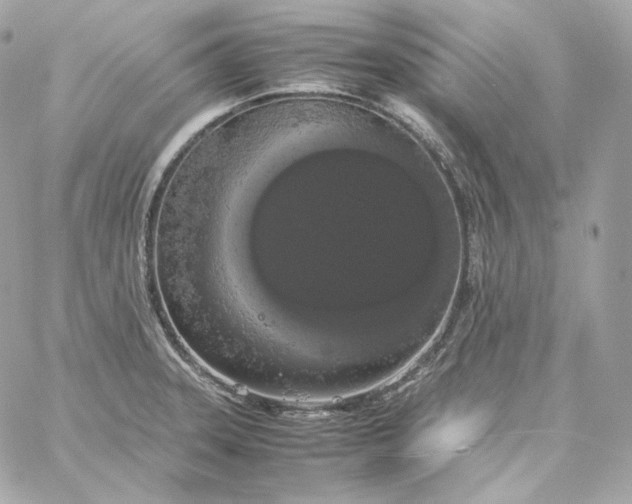 X0000060261331200511112011