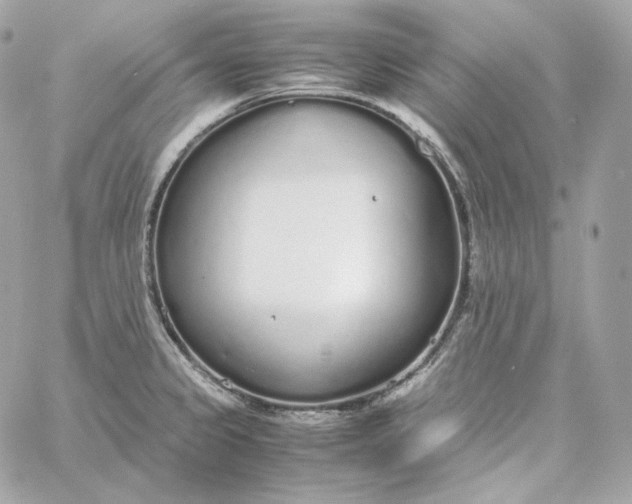 X0000060261333200511112011