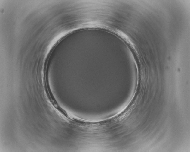 X0000060261334200511112011