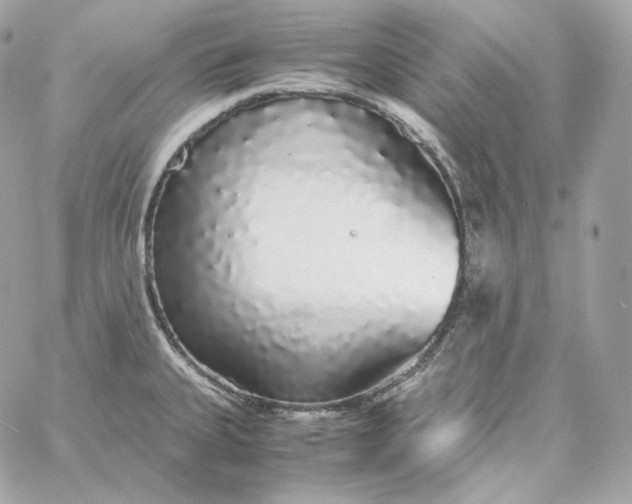 X0000060261335200511112011