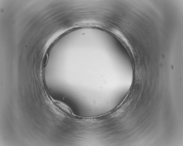 X0000060261336200511112011