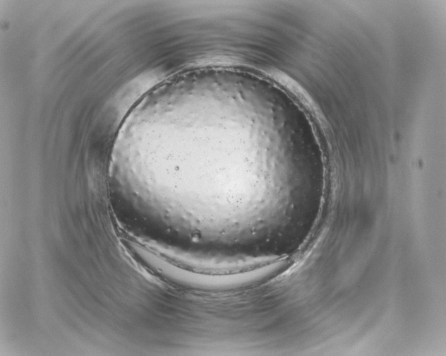 X0000060261337200511112011