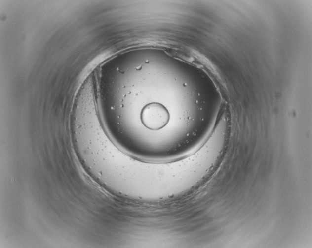 X0000060261338200511112011