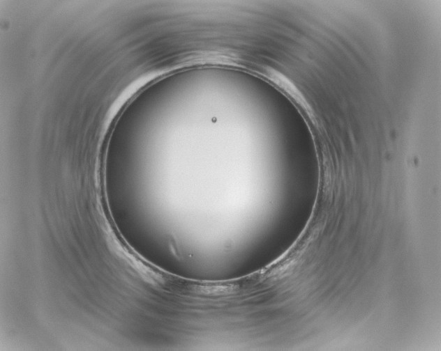 X0000060261339200511112011