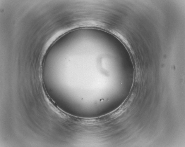 X0000060261342200511112011