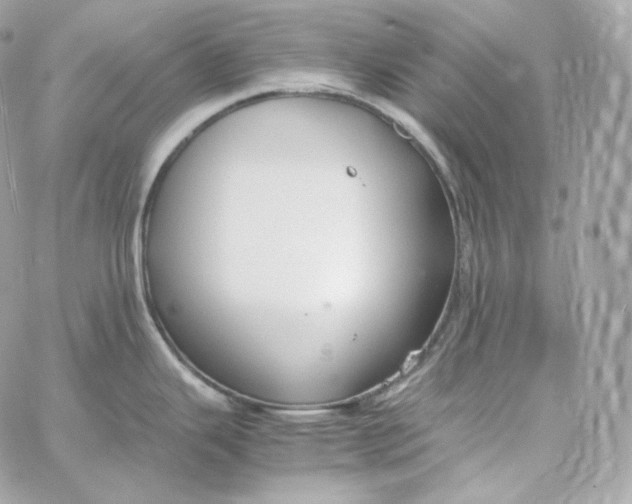 X0000060261343200511112011