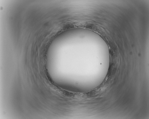 X0000060261345200511112010