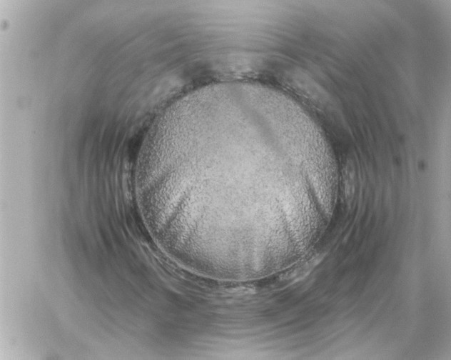 X0000060261346200511112010