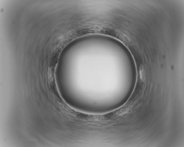 X0000060261347200511112010