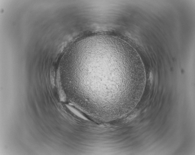 X0000060261348200511112010