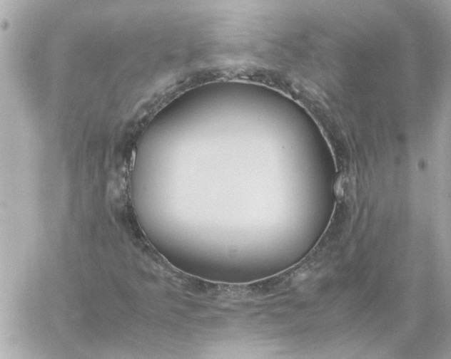 X0000060261349200511112010