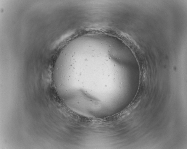 X0000060261350200511112010