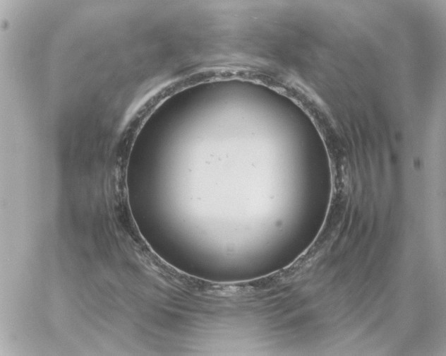 X0000060261352200511112010