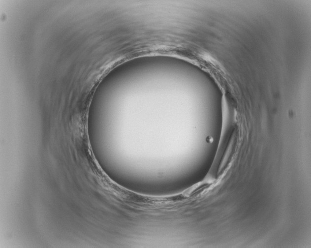 X0000060261353200511112010