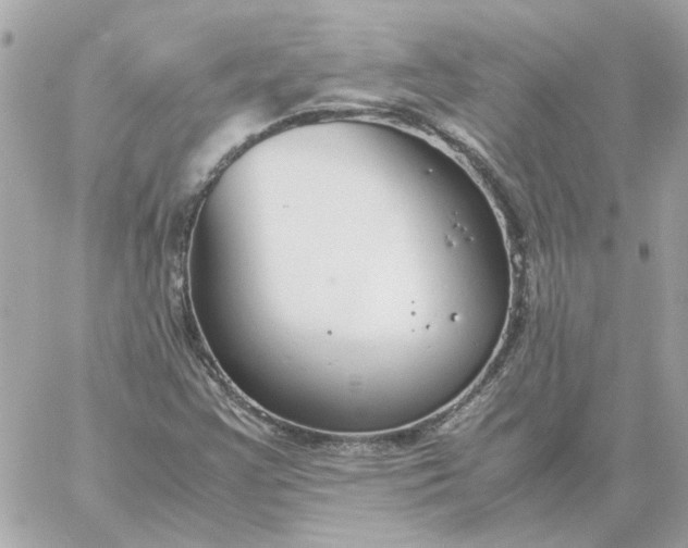 X0000060261355200511112010