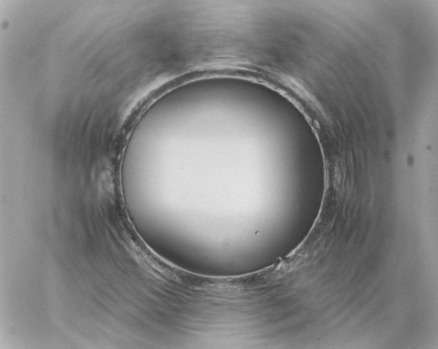 X0000060261356200511112010