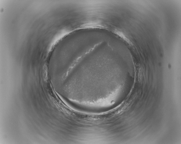 X0000060261358200511112010