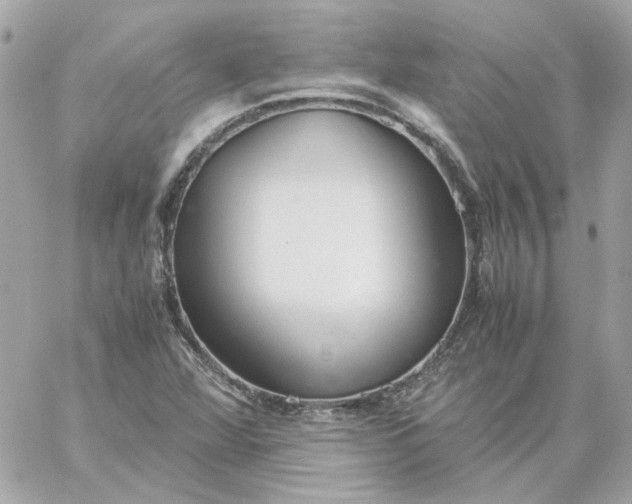 X0000060261360200511112010