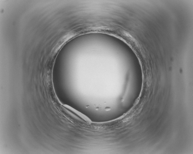 X0000060261361200511112010