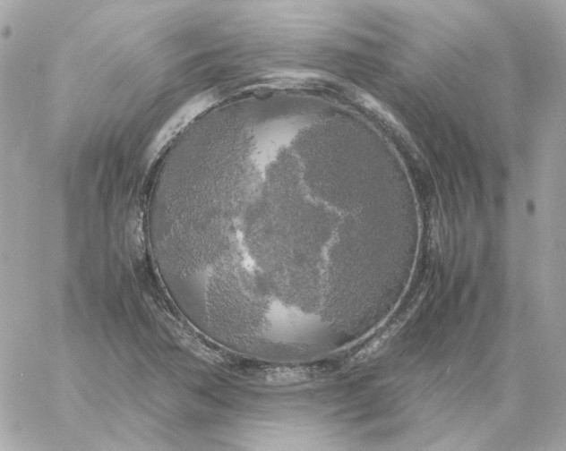 X0000060261362200511112010