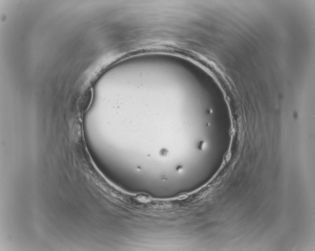 X0000060261363200511112010