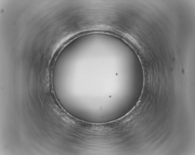 X0000060261364200511112010