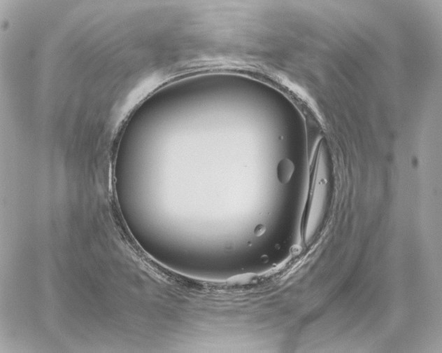 X0000060261365200511112010