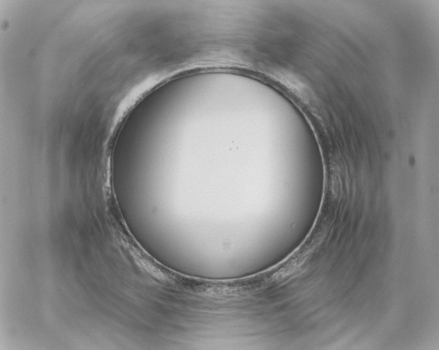 X0000060261366200511112010