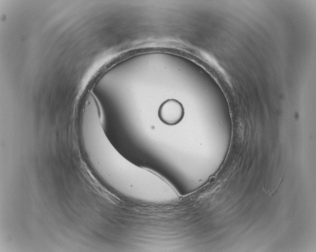 X0000060261368200511112010