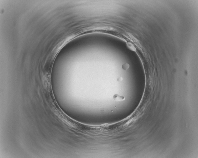 X0000060261369200511112010