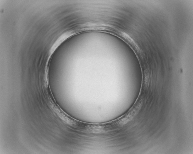 X0000060261370200511112010