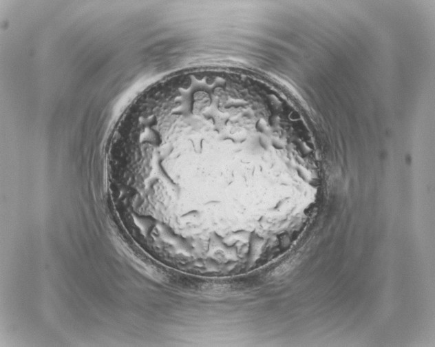 X0000060261371200511112010