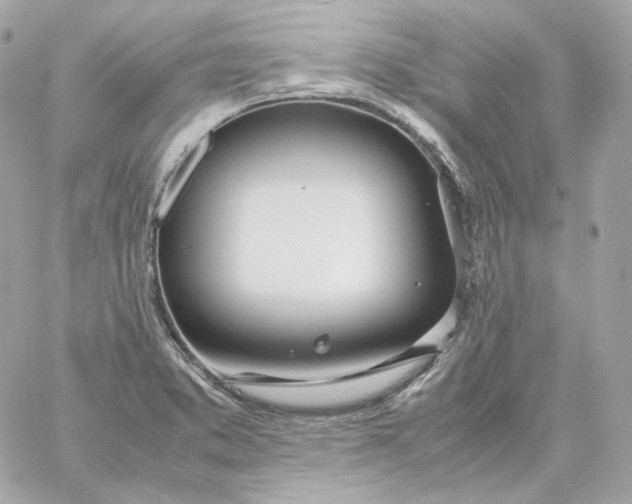 X0000060261373200511112010