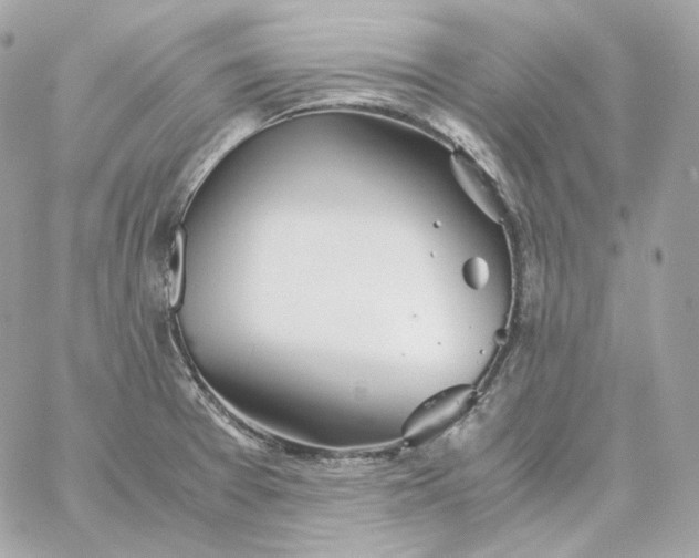 X0000060261377200511112010