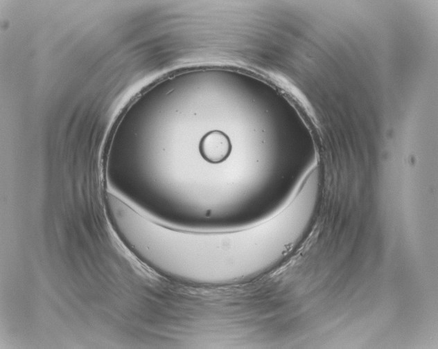 X0000060261380200511112010