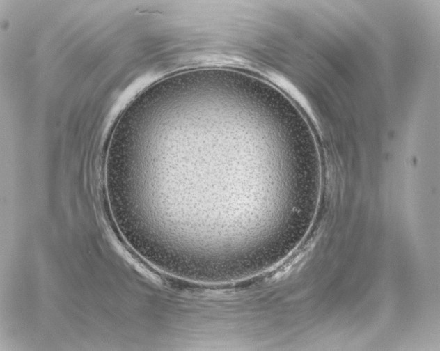 X0000060261381200511112010