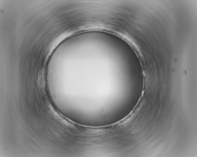 X0000060261382200511112010