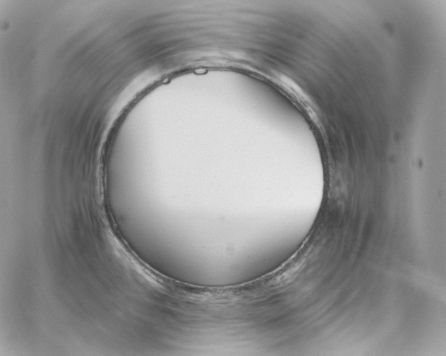 X0000060261384200511112010