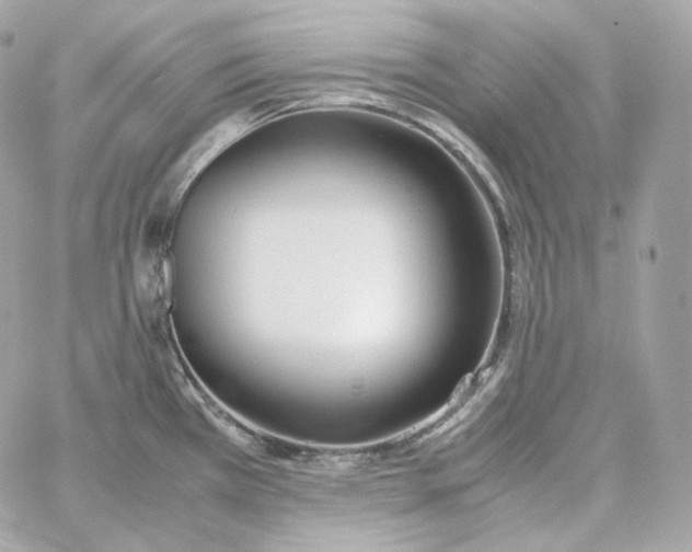 X0000060261385200511112010