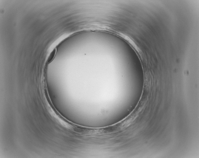 X0000060261387200511112010